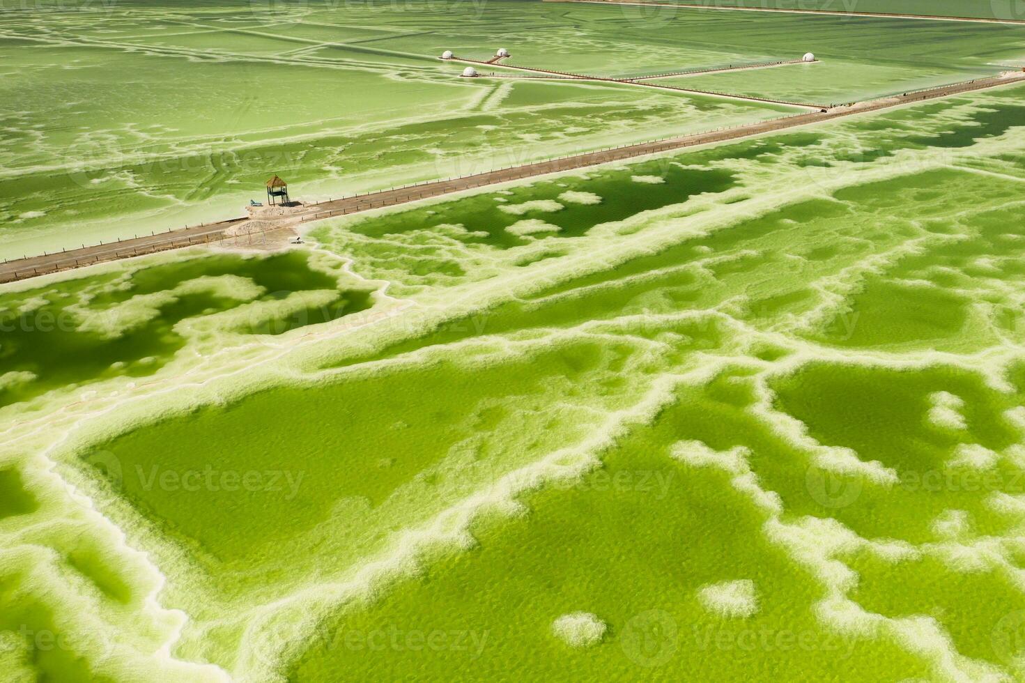 The green saline lake and beach pavilion, natural lake background. photo