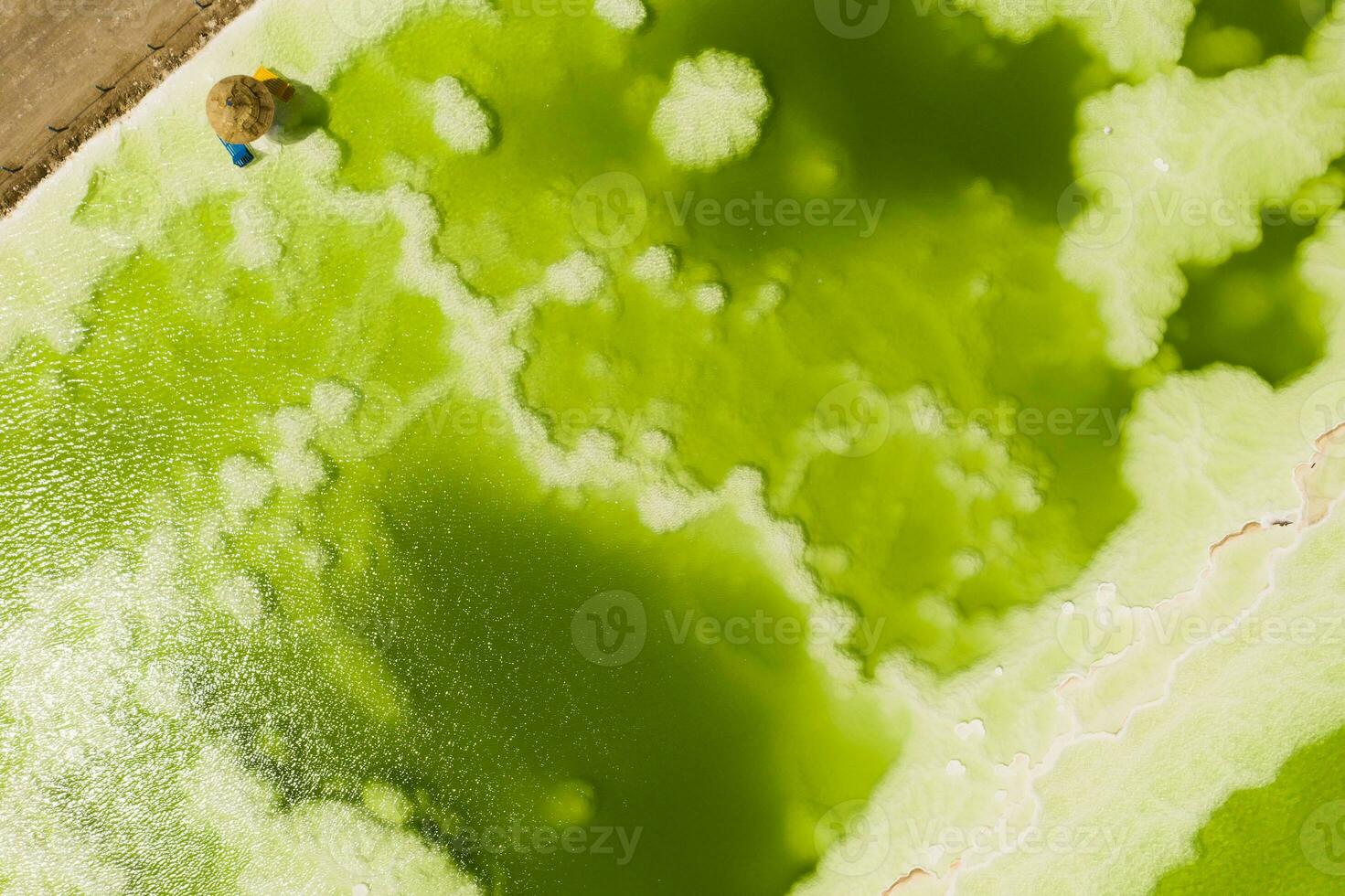 The green saline lake and beach umbrella, natural lake background. photo