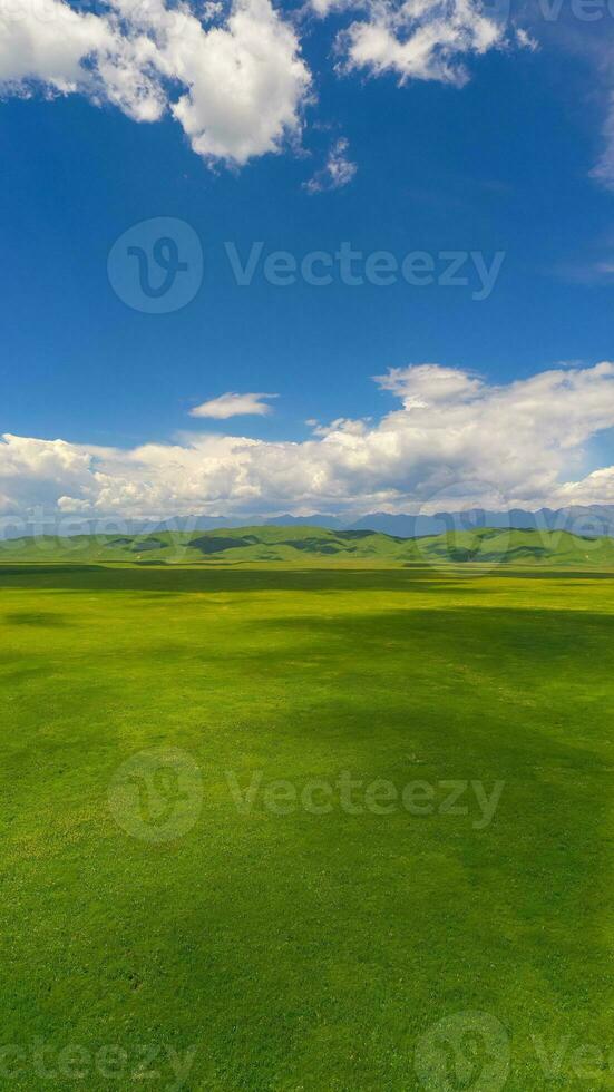 Nalati grassland with the blue sky. photo