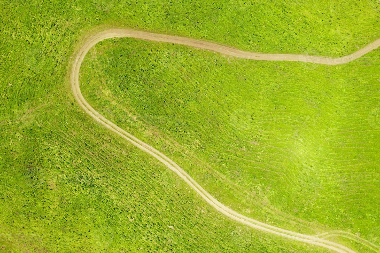 Nalati grassland with the blue sky. photo