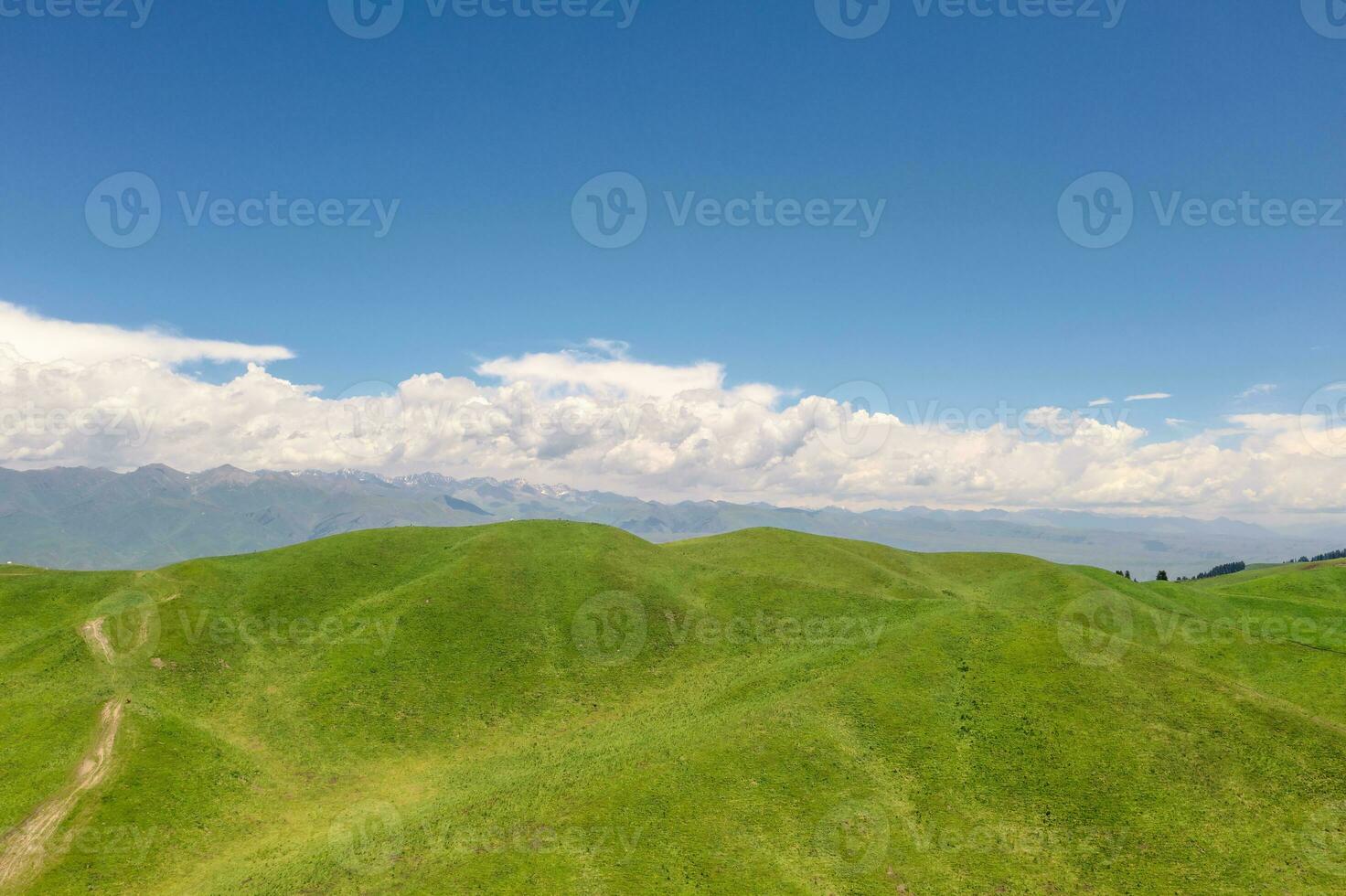 Nalati grassland with the blue sky. photo