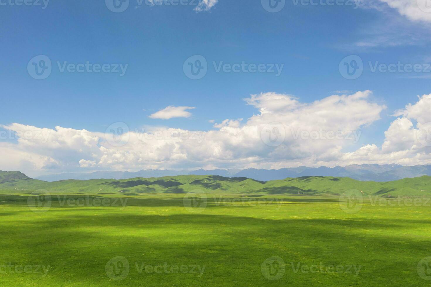 Nalati grassland with the blue sky. photo