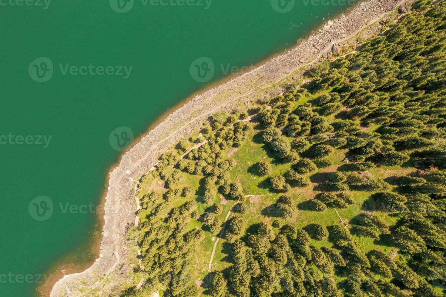 River and trees with cloudless day. photo