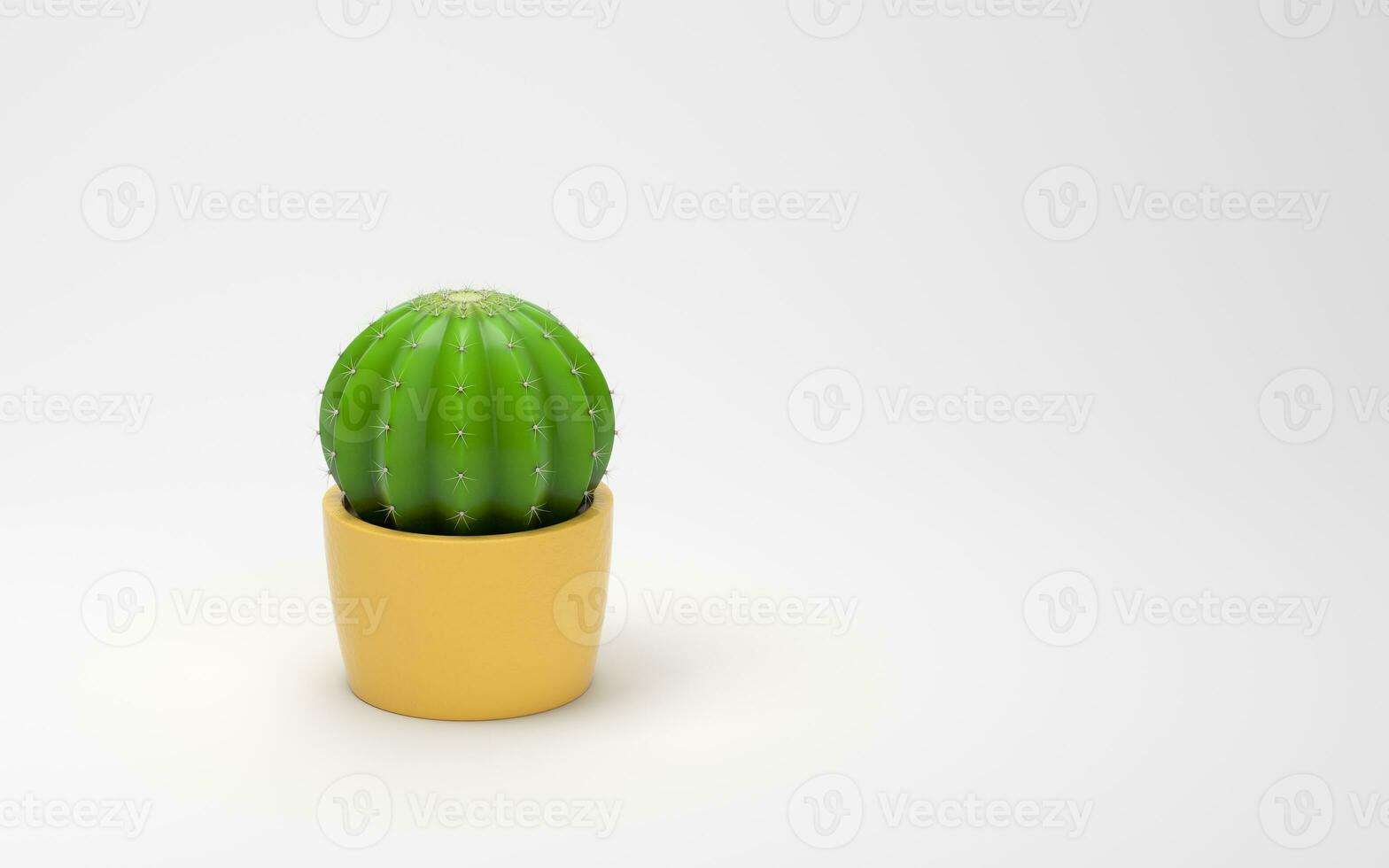 Cactus with a white background, 3d rendering. photo