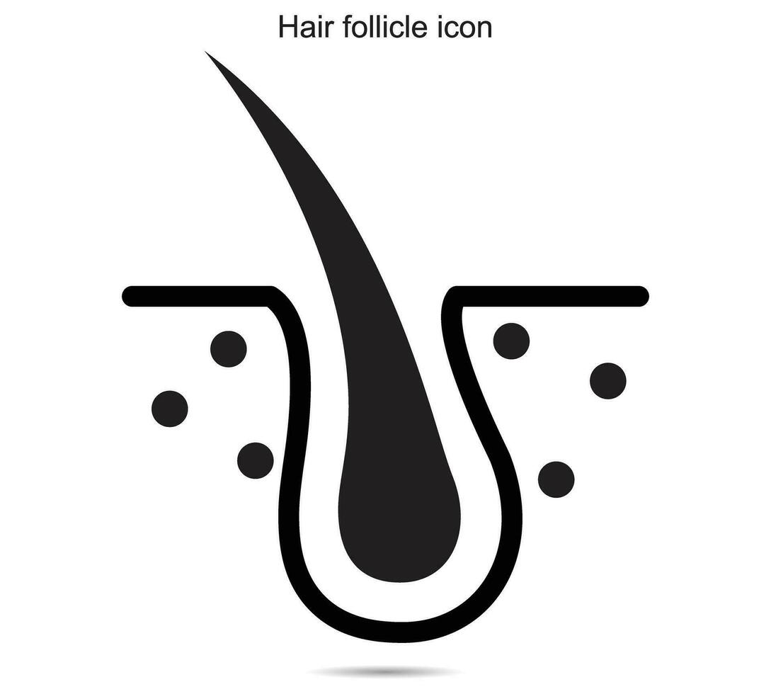 Hair follicle icon, vector illustration.