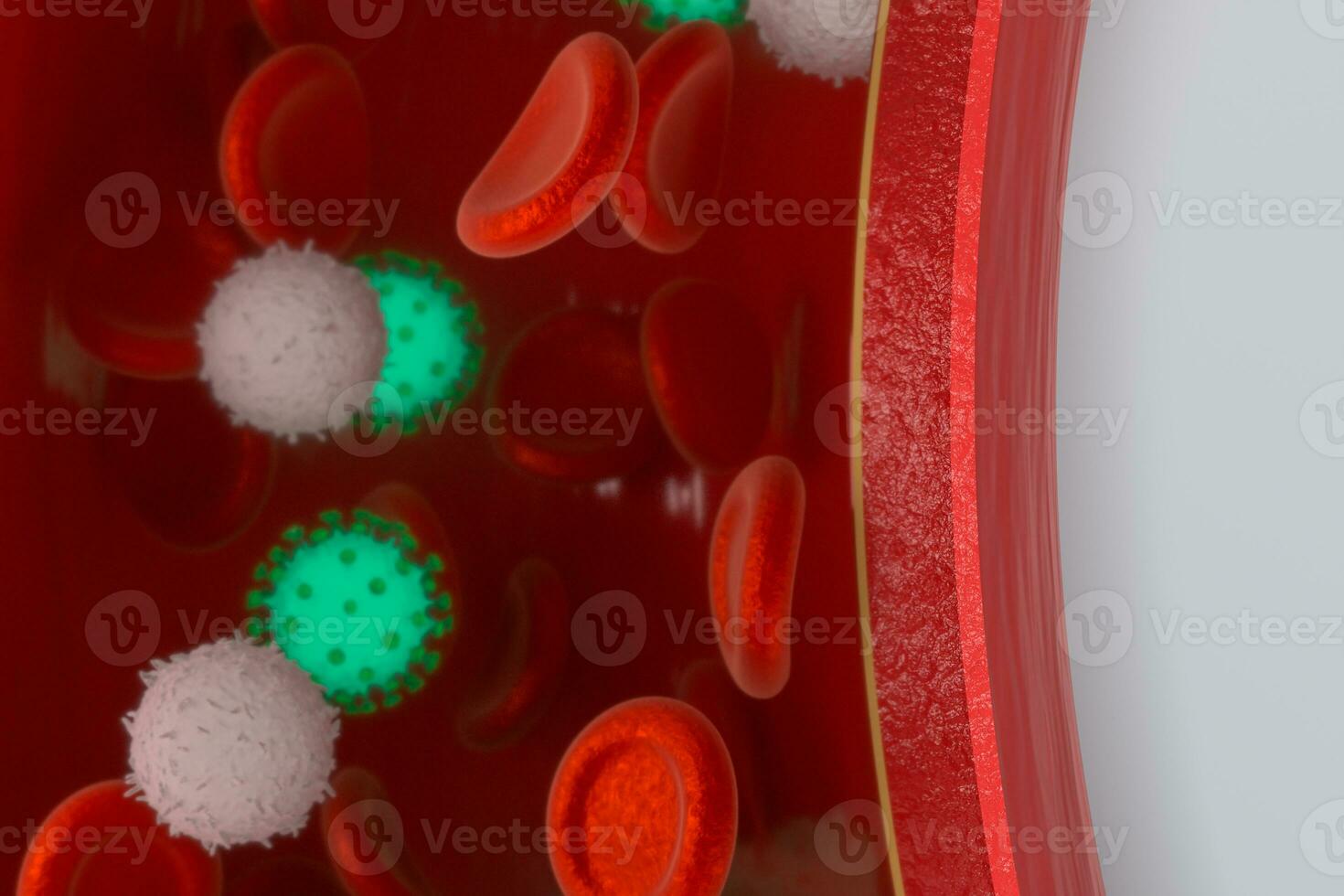 virus en el sangre buque, con rojo y blanco sangre células, 3d representación. foto