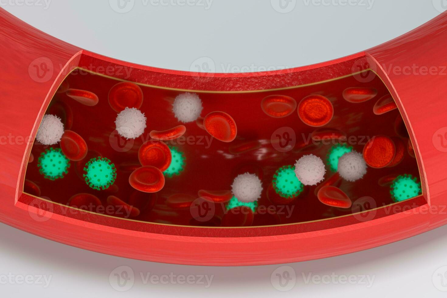 virus en el sangre buque, con rojo y blanco sangre células, 3d representación. foto