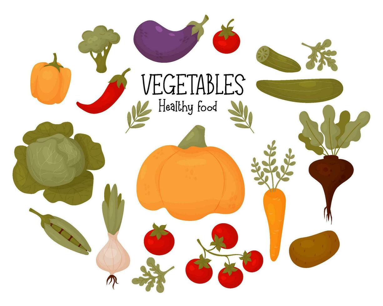 Collection of vegetables. Healthy food. Fresh tomatoes, pumpkin, eggplant, pepper, peas with carrot, cucumbers, beetroot and cabbage with onion. Isolated vector colored fruits in cartoon flat style.