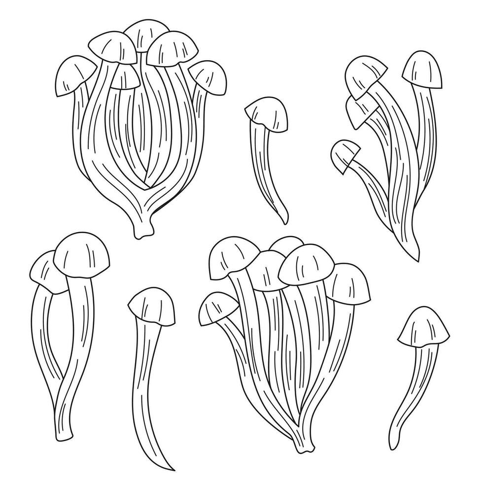 Shimeji mushroom outline vector image