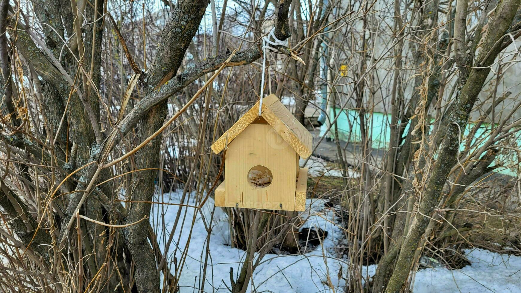 Wooden house bird feeder in winter suspended on a bush. photo