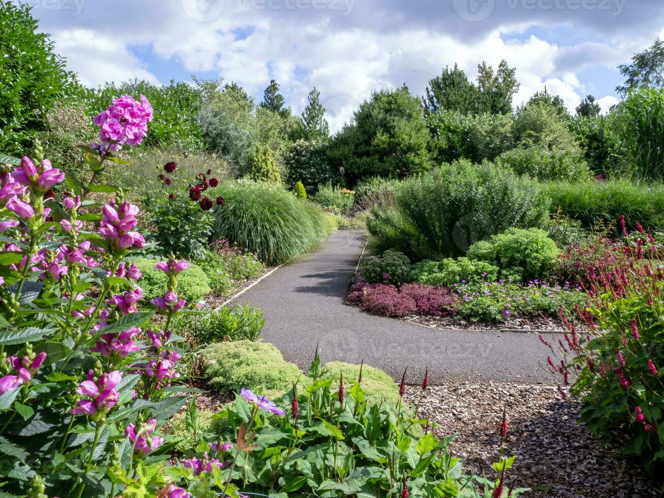 ver terminado un camino mediante un verano jardín con flores foto