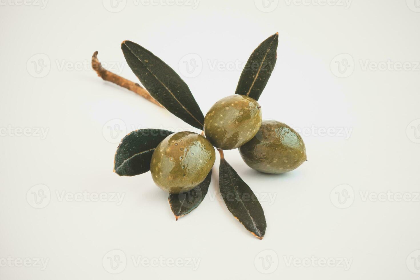 Green Olives Branch Isolated photo
