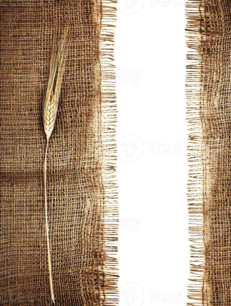 Wheat border isolated on white photo