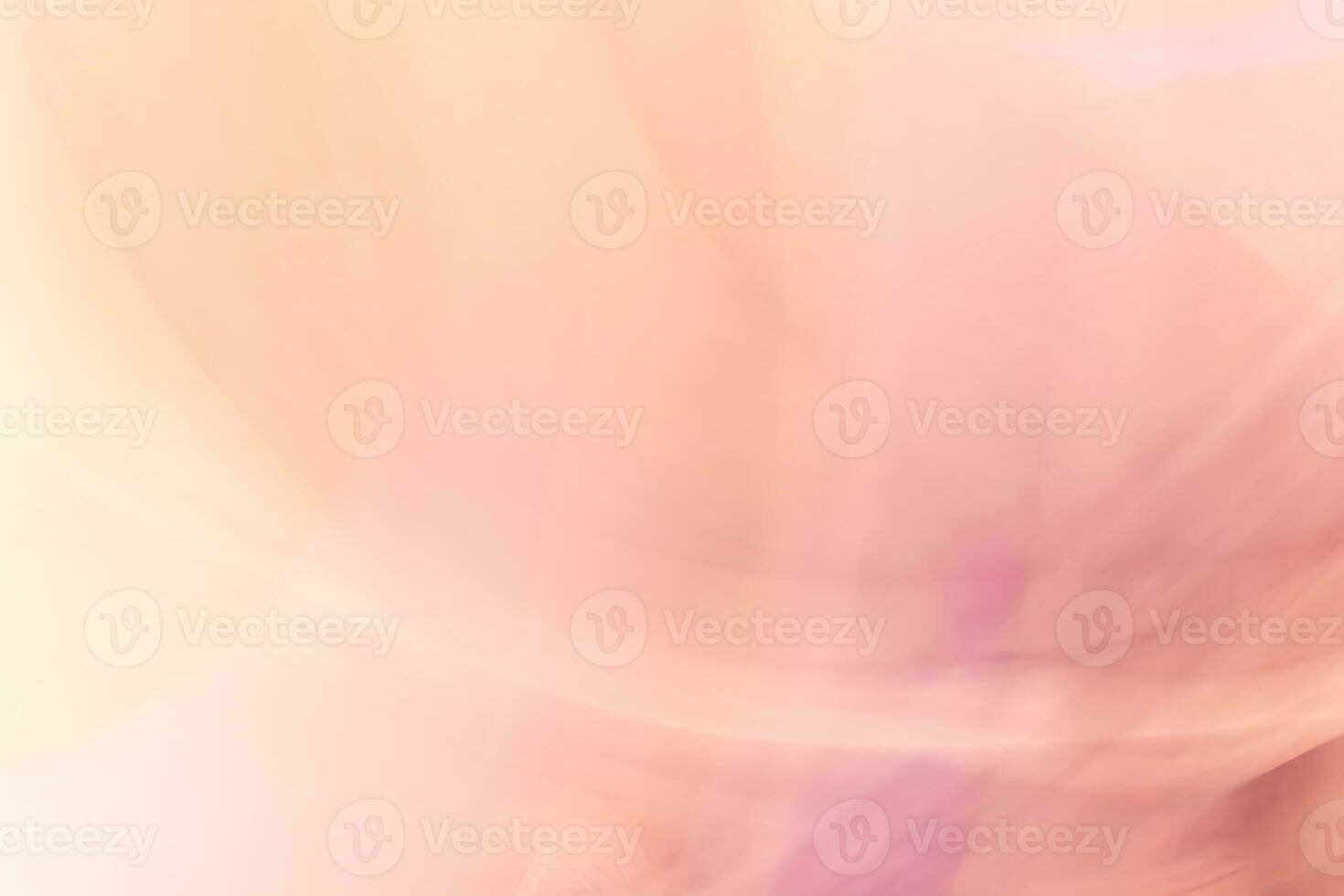 abstract pink background with blurred bokeh defocused lights and shadow photo