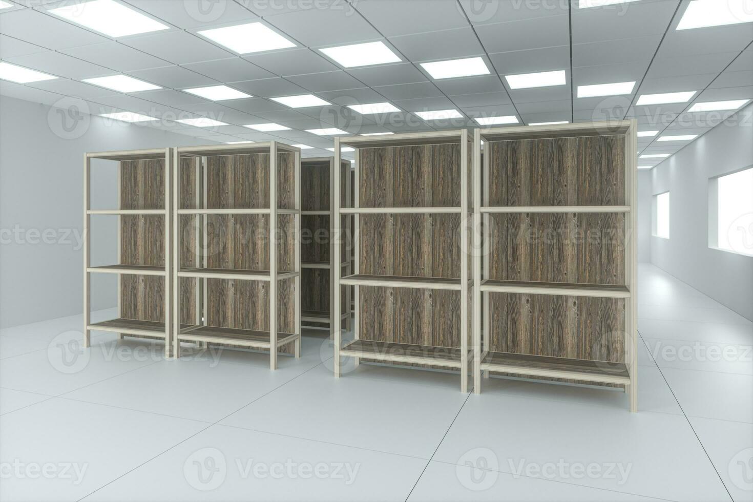 Rows of bookshelves in the bright room, 3d rendering. photo