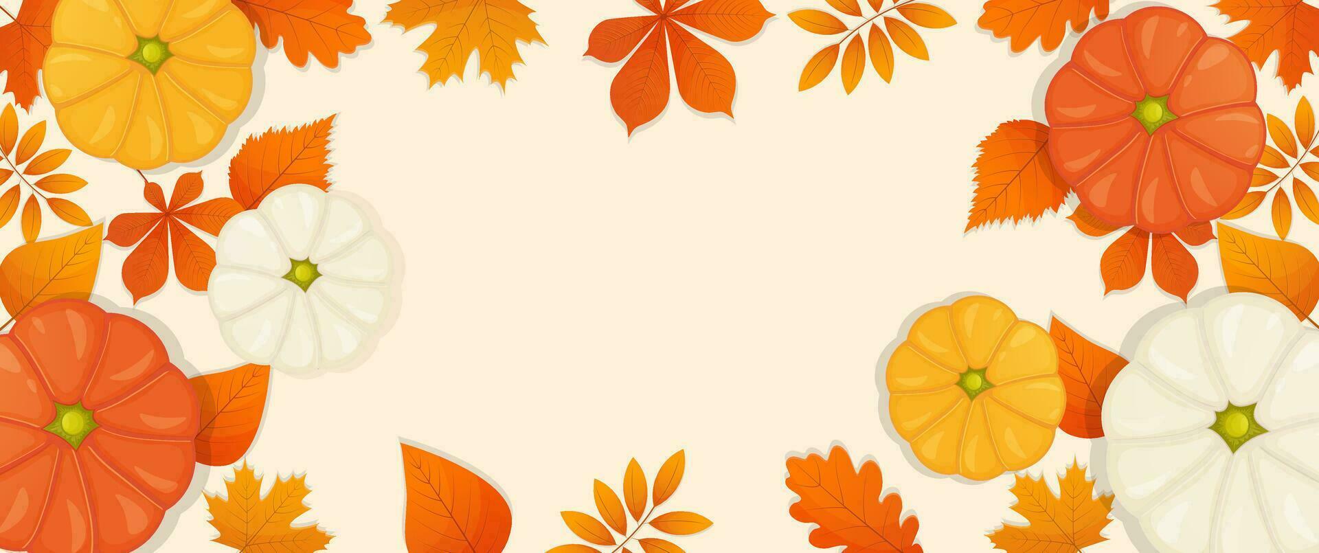Different color pumpkins and autumn leaves background Autumn sale banner concept vector