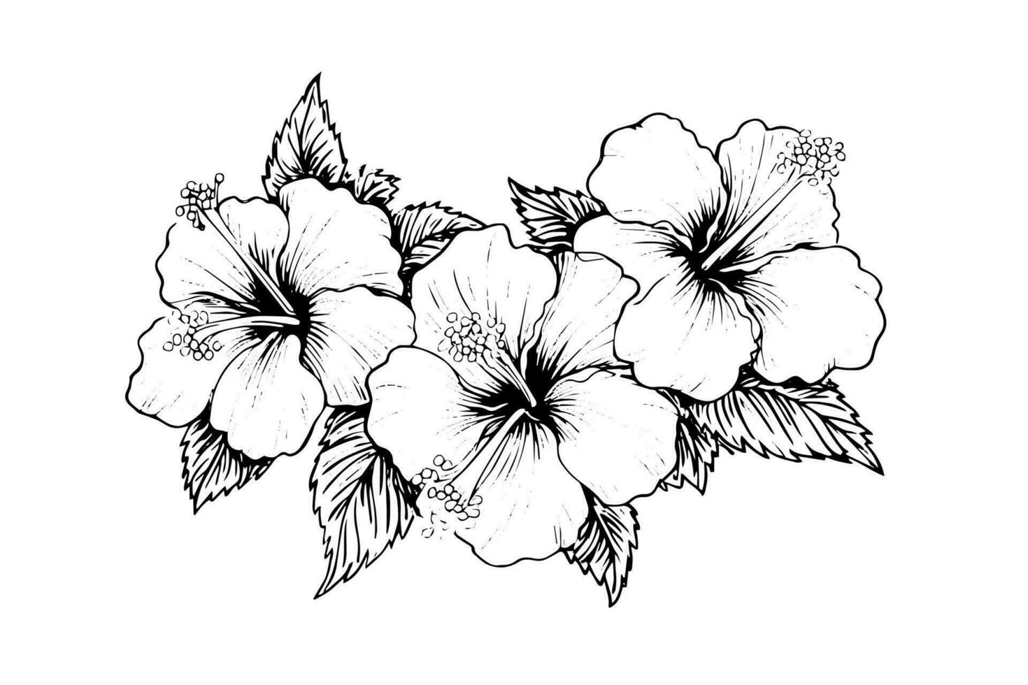 hibisco flores en un Clásico xilografía grabado grabando estilo. vector ilustración.