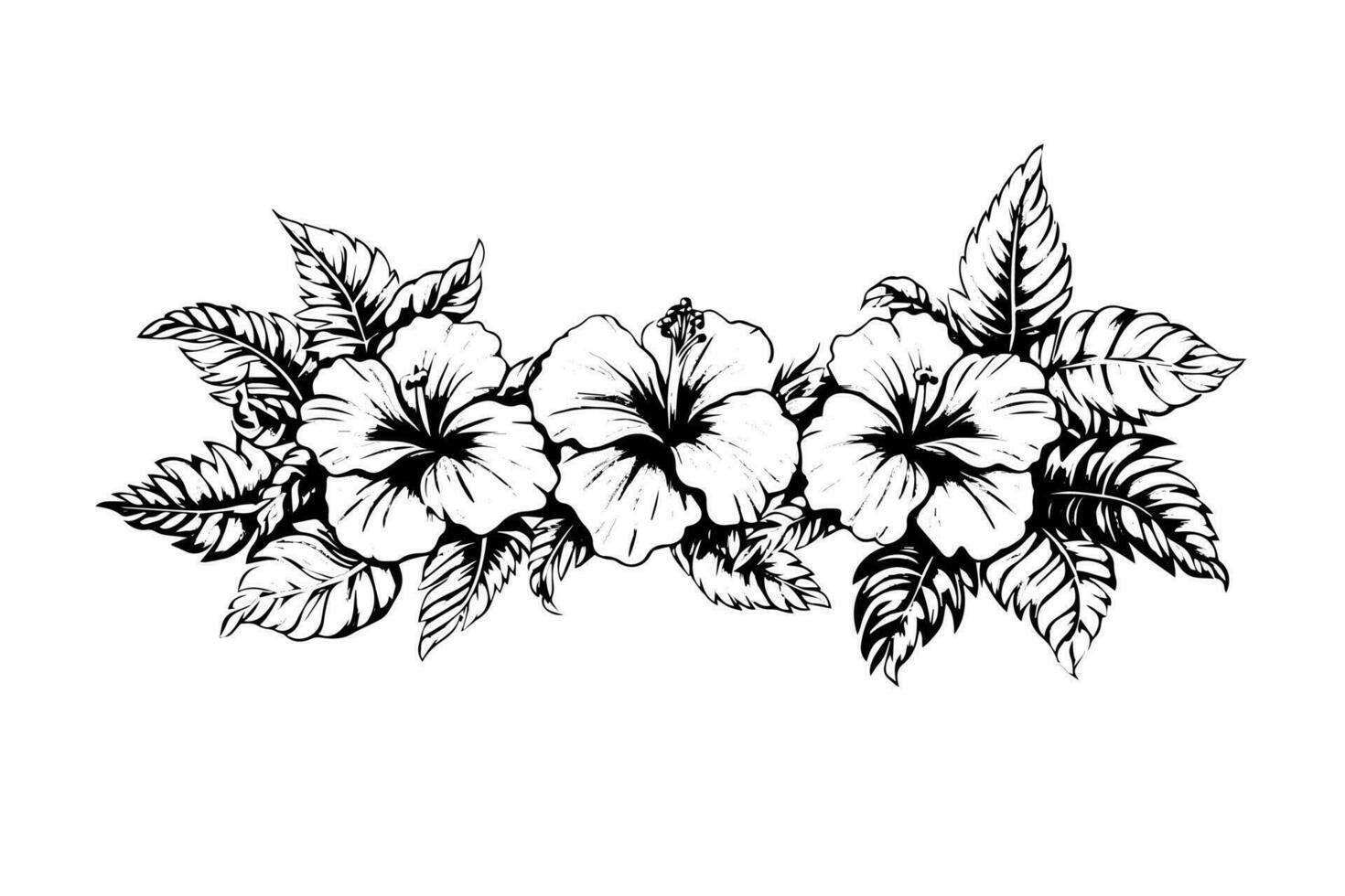 Hibiscus flowers in a vintage woodcut engraved etching style. Vector illustration.