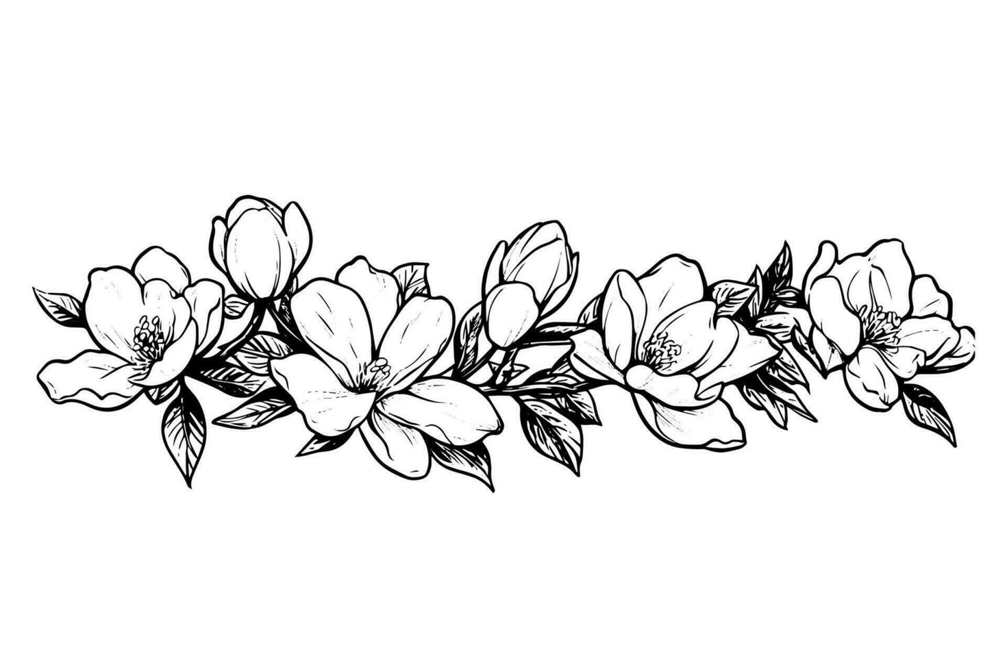 Hand drawn magnolia flower ink sketch. Engraving style vector illustration.