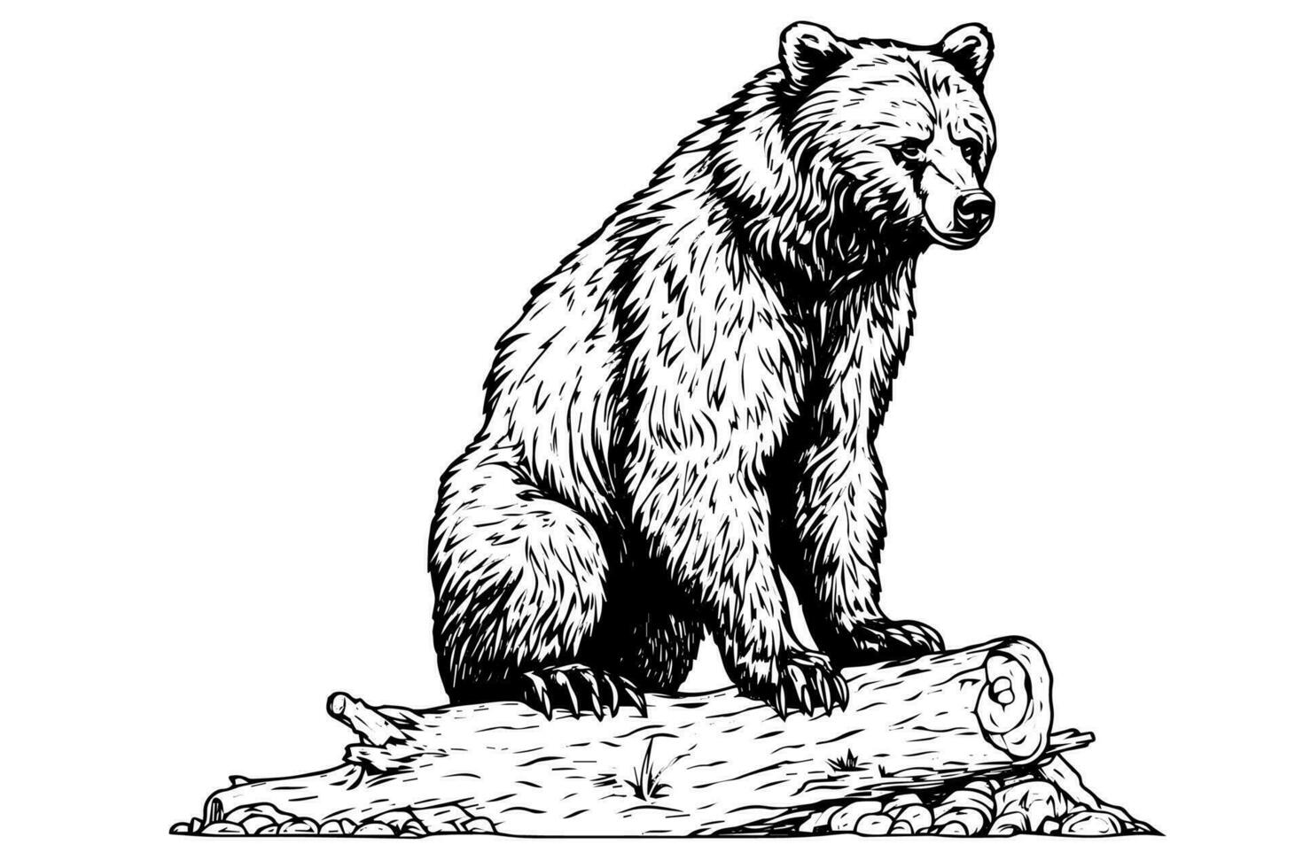 Ink hand drawing sketch bear bear sitting on a log. Vector Illustration in engraving style.