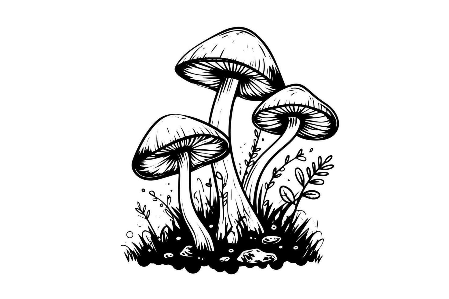 Fly agaric or amanita mushrooms group growing in grass engraving style. Vector illustration.