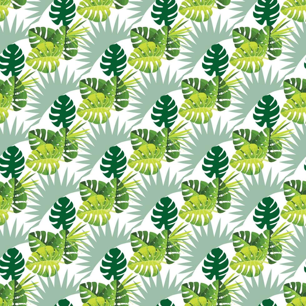 tropical palma monstera en blanco antecedentes sin costura modelo diseño vector