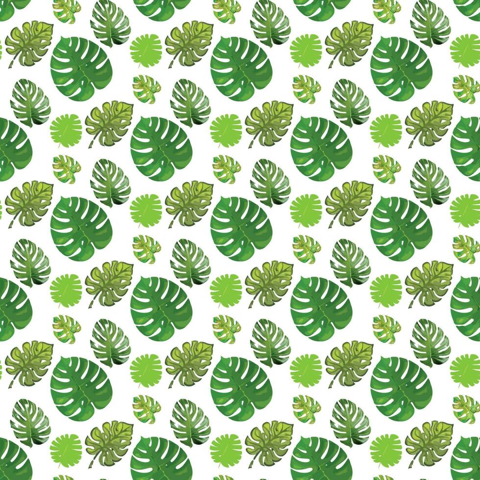 tropical leaf monstera on white background Seamless Pattern Design vector