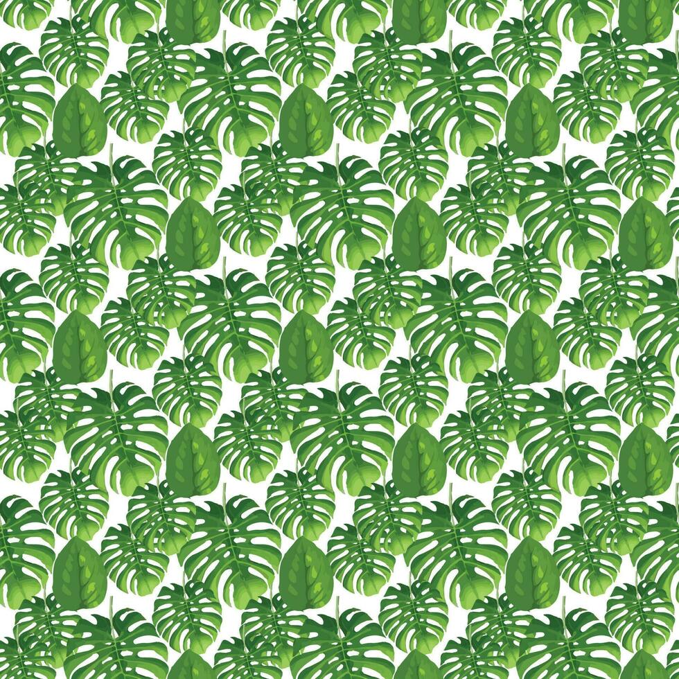 tropical monstera leaf on white background Seamless Pattern Design vector
