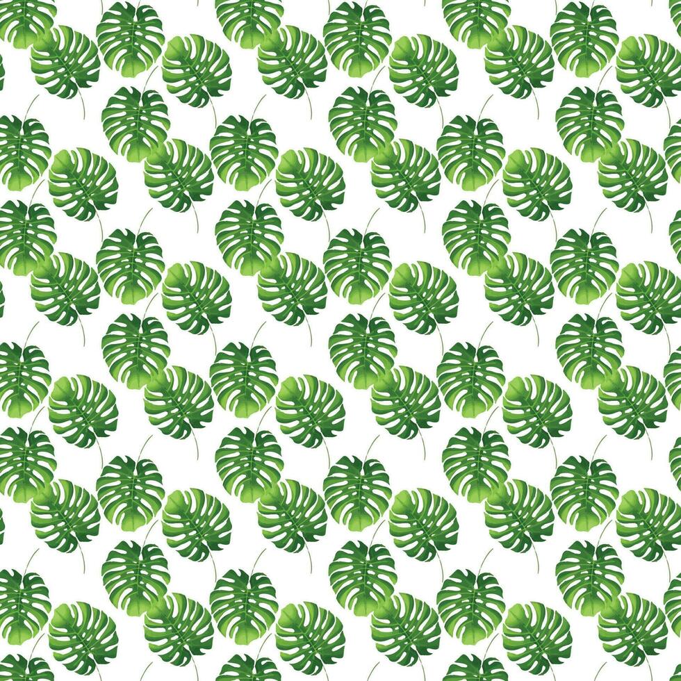 tropical monstera on white background  Seamless Pattern Design vector