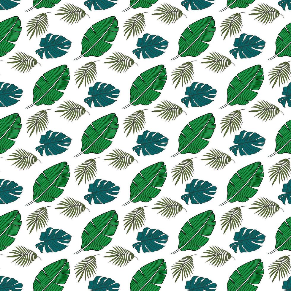 tropical  banana monstera and coconut palm on white background Seamless Pattern Design vector