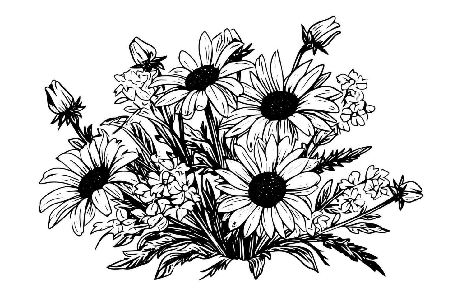 Hand drawn chamomile ink sketch. Daisy bouquet engraving vector illustration.