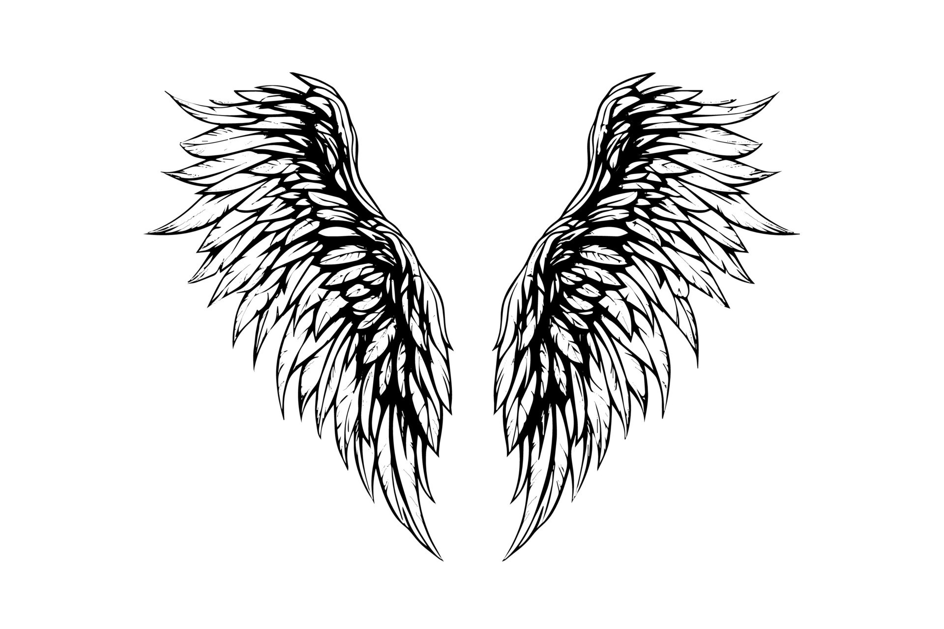 Angel wings ink sketch in engraving style. Hand drawn fenders vector ...