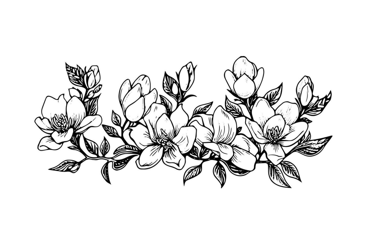 Hand drawn magnolia flower ink sketch. Engraving style vector illustration.