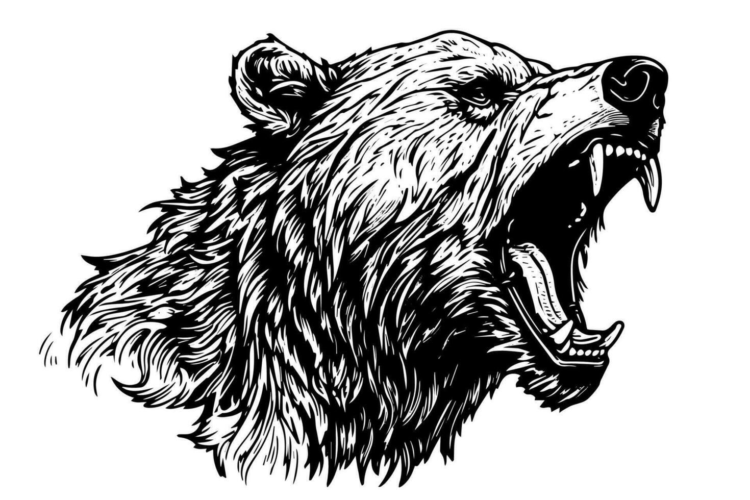 Ink hand drawing sketch bear mascot or logotype head. Vector Illustration in engraving style.