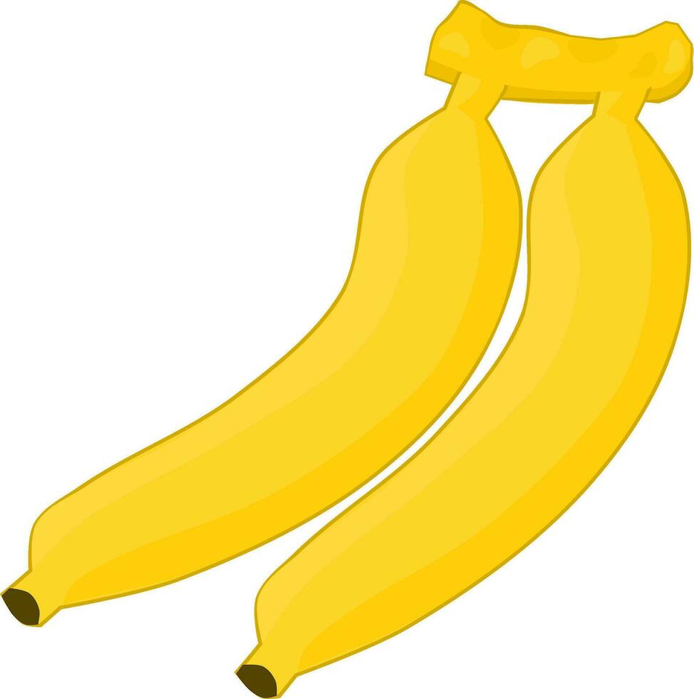 bunch of bananas. Fruit vector illustration.