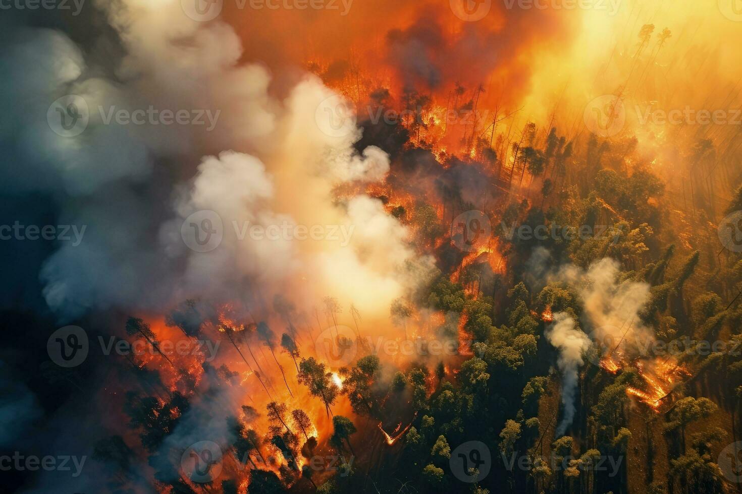 forest fire, AI generative photo