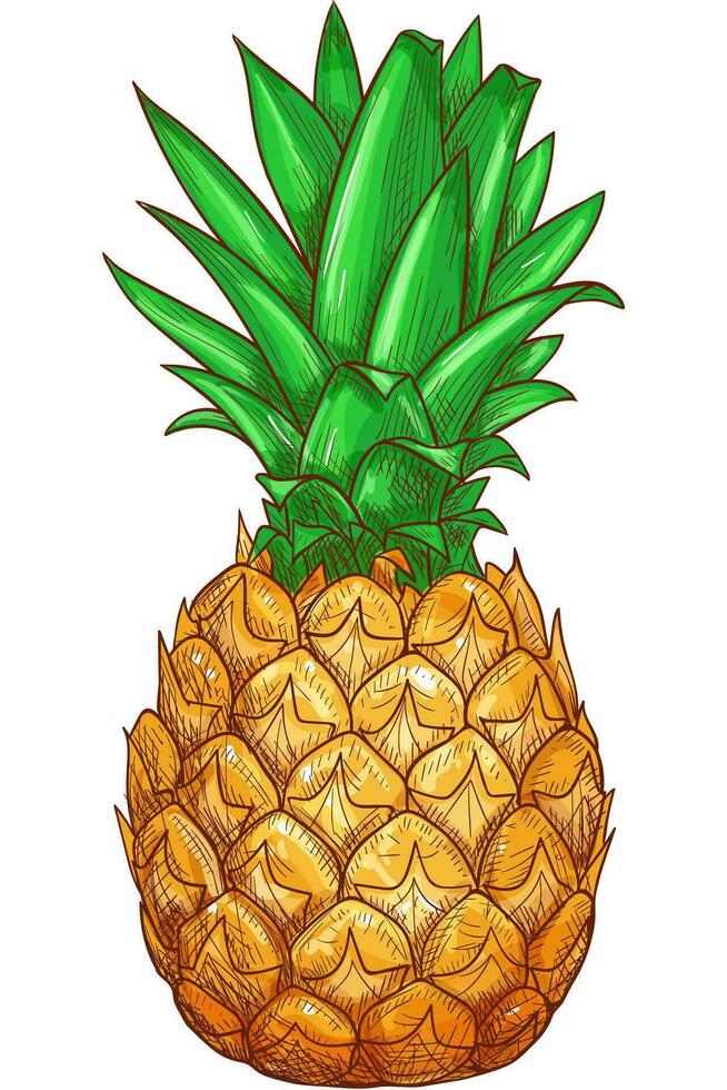 diseño vectorial de piña vector