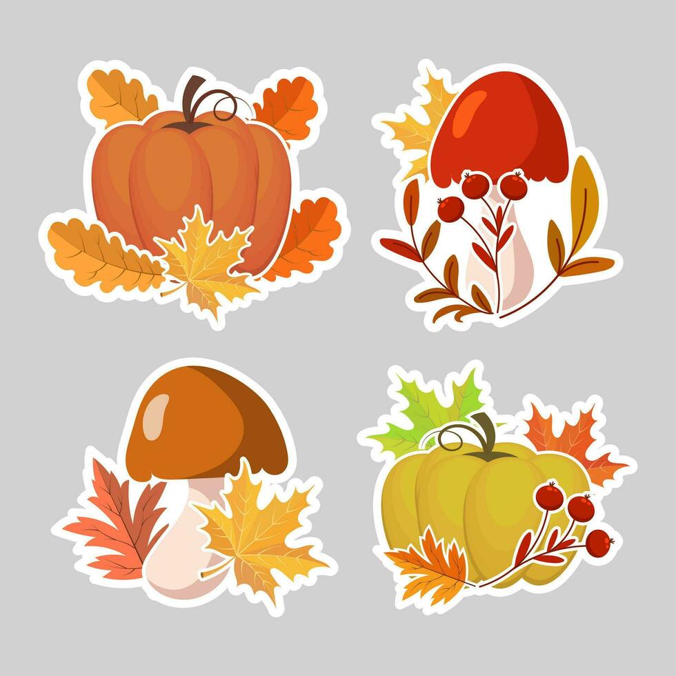 conjunto de otoño pegatinas, calabazas, bellotas, hongos y otoño hojas y serbal. ilustración, iconos, plantilla, vector