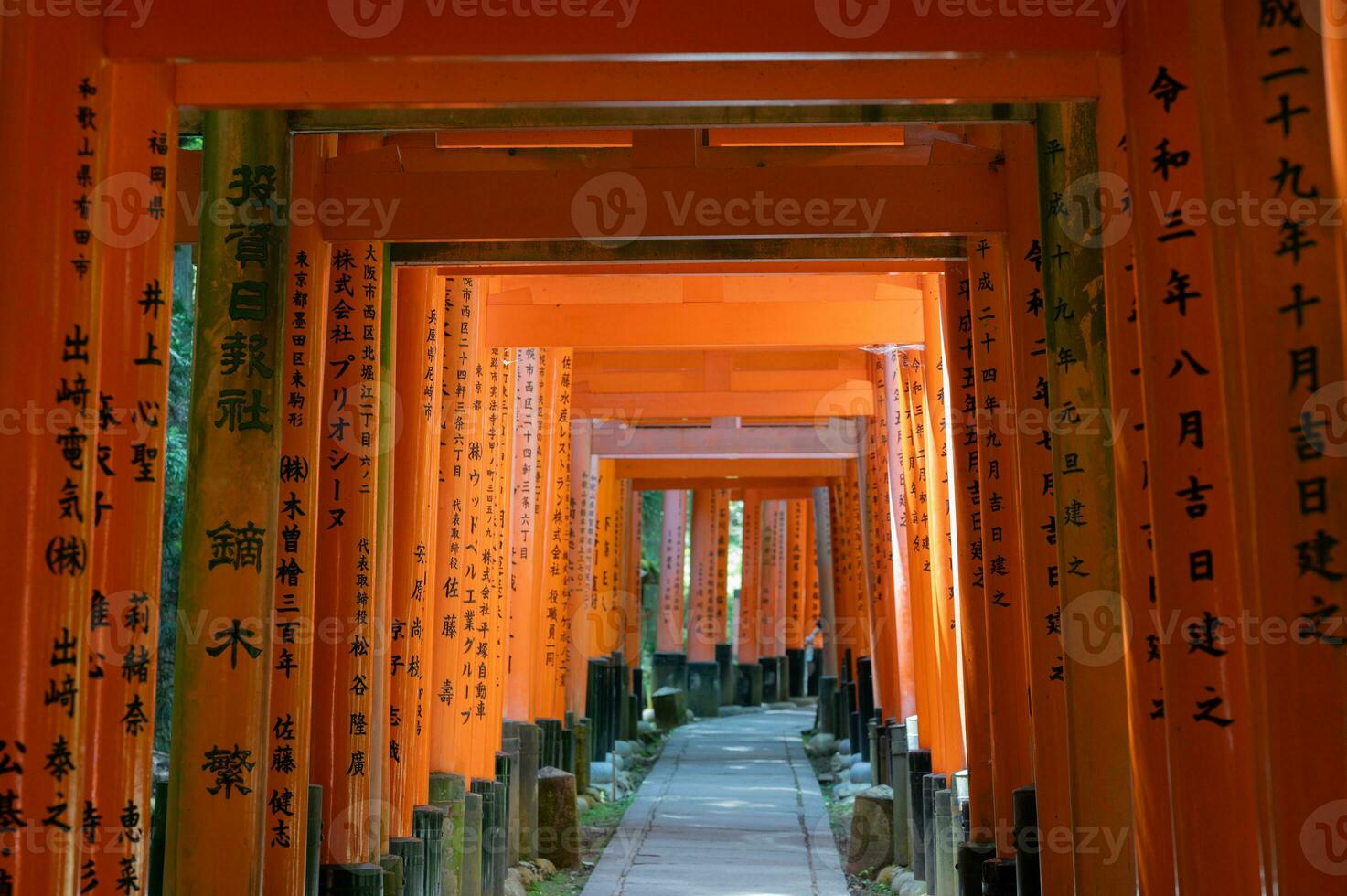 The Shrine of the Thousand Torii Gates. Fushimi Inari Shrine. It is famous for its thousands of vermilion torii gates. Japan photo