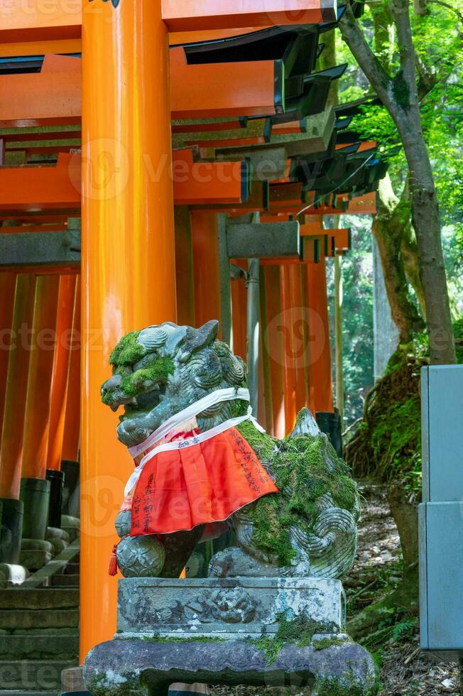 The Shrine of the Thousand Torii Gates. Fushimi Inari Shrine. It is famous for its thousands of vermilion torii gates. Japan photo