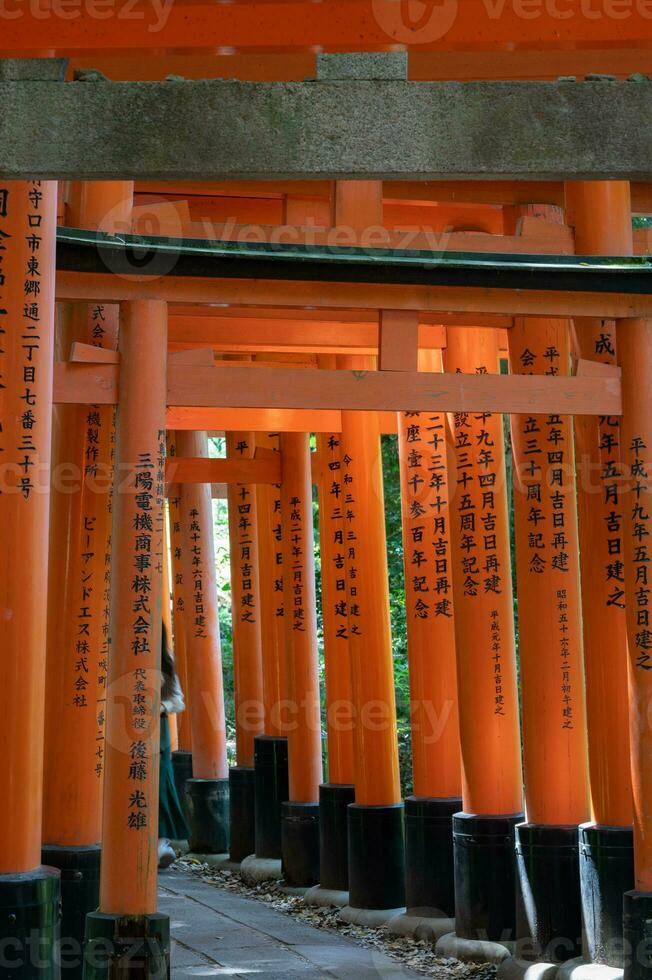 The Shrine of the Thousand Torii Gates. Fushimi Inari Shrine. It is famous for its thousands of vermilion torii gates. Japan photo