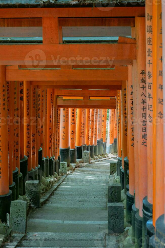 The Shrine of the Thousand Torii Gates. Fushimi Inari Shrine. It is famous for its thousands of vermilion torii gates. Japan photo