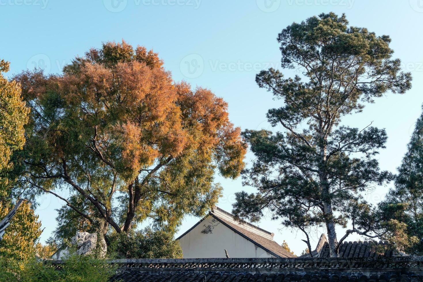 el otoño en el parque de Suzhou jardín en China foto