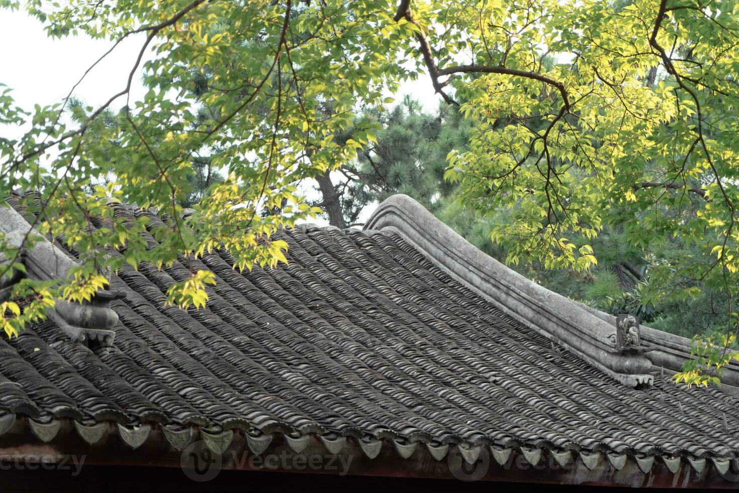 the autumn in the traditional park in China photo