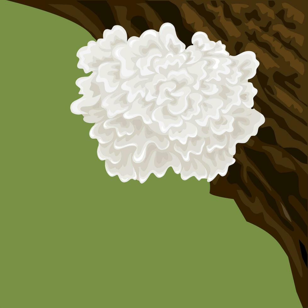 Vector illustration, Tremella fuciformis mushroom, also called white ear mushroom, snow fungus, or jelly mushroom, on a tree trunk on a green background.