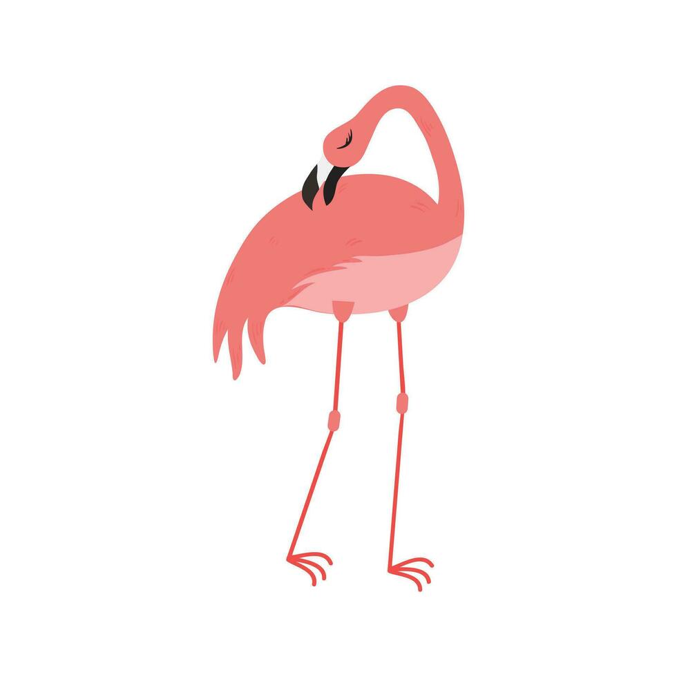 Pink Flamingo Cartoon Illustration Isolated In White Background. Summer Animal Illustration vector