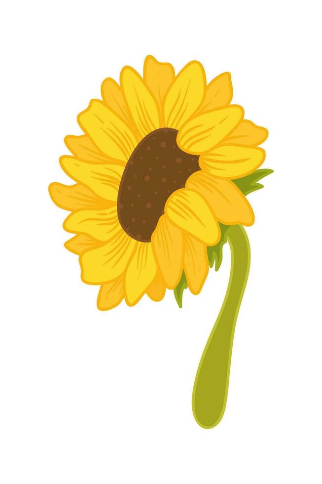 Sunflower Cartoon Illustration Isolated In White vector