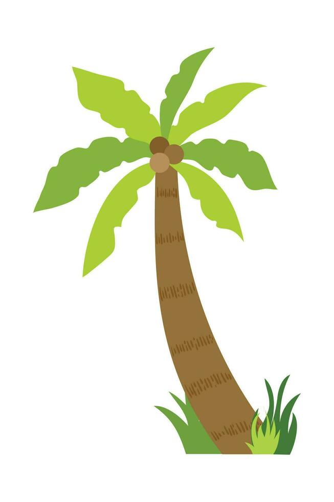 Palm Tree Illustration In Flat Style Isolated In White Background. Tropical Summer Plant Illustration. vector