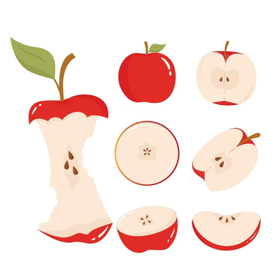 Apple Illustration Isolated In White Background vector