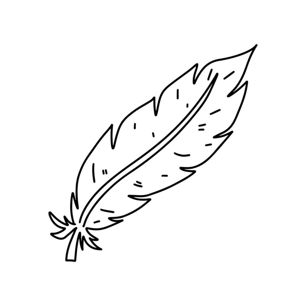 Bird feather. Hand drawn doodle style. Vector illustration isolated on white. Coloring page.